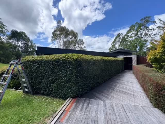 Neatly clipped hedge beside a garden deck, maintained by Southern Highlands Garden Services