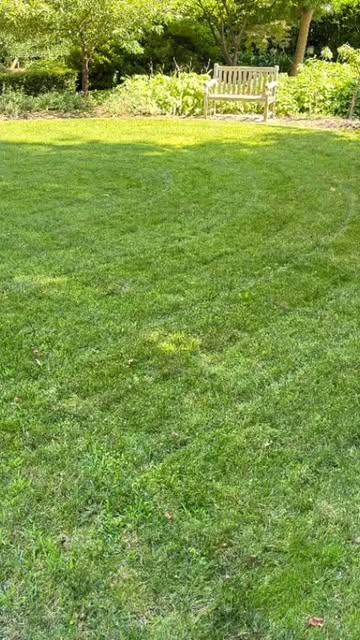 Maintained lawn and planted garden beds from Southern Highlands Garden Services Instagram